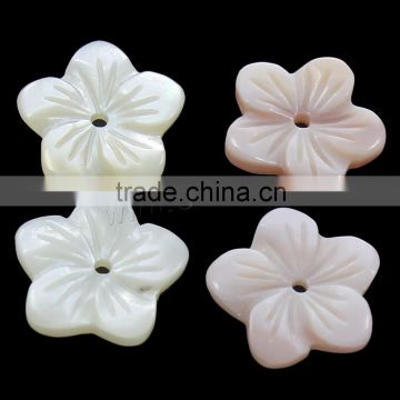 Natural Freshwater Shell Beads