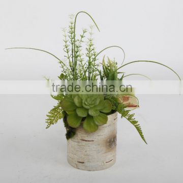 Artificial Succulent Plant Bonsai Potted new products