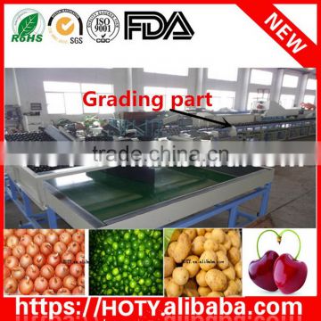 3ton/h food grade industrial fruit fish cassava fruit washing grading waxing machine