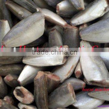 Frozen Horse Mackerel Fish sections (trachurus japonicus)