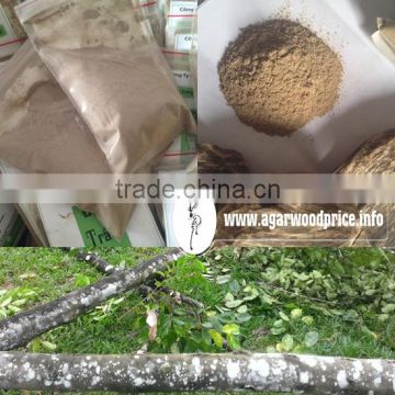 Agarwood powder - burning and relaxing with nice fragrance of Oud wood chips