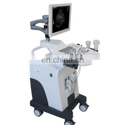 Full-Digital Trolley B/W Ultrasound System Ultrasonography Machine for Hospital use