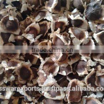 Moringa Seed with Best Price & High Quality in demand