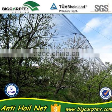 65grm Raschel Monofilament HDPE anti hail net for india market