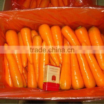 S size carrot/new crop harvest