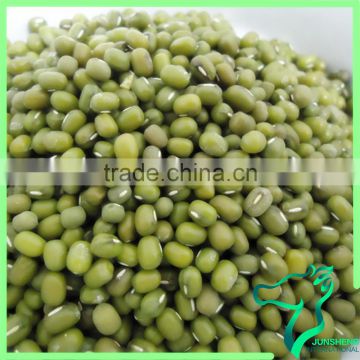 Price For Machine Selected Green Mung Beans