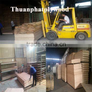 GOOD QUALITY LOW PRICE PACKING GRADE FLEXIBLE PLYWOOD PRICES