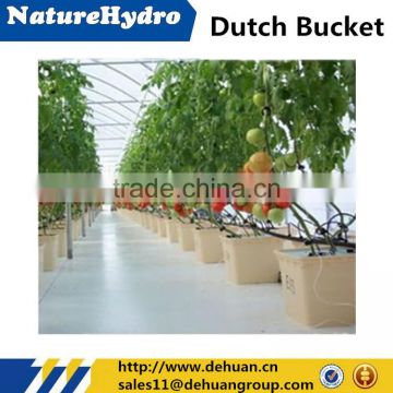 Hydroponic tomato greenhouse bucket
