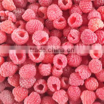 frozen style fresh raspberry