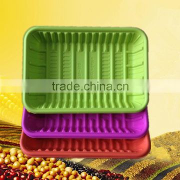 biodegradable disposable food tray
