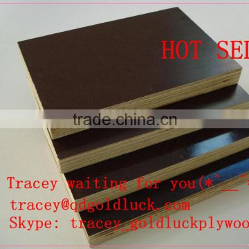Hot Sell 12mm Film Faced Plywood