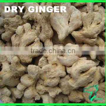 Dry Ginger Competitive Price