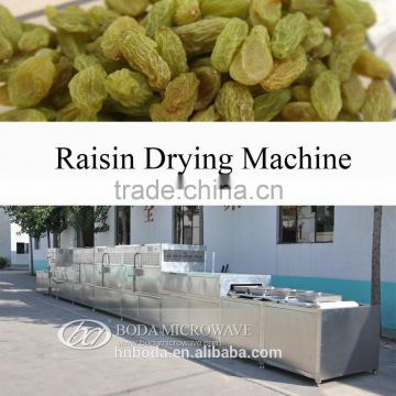 Raisin Drying Machine