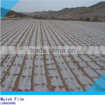 PE Agricultural Mulch Film