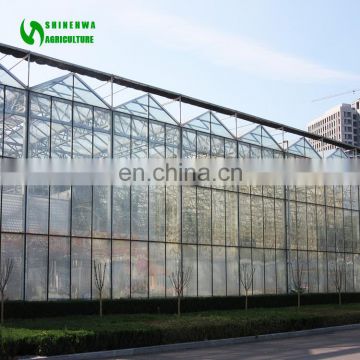 Hot Selling Factory Price Rooftop greenhouse