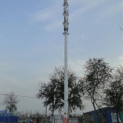 Professional Supply Galvanized Telecom Tower with Single Tube