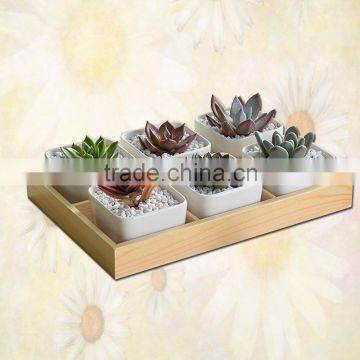 wooden planter box succulent plants in pots