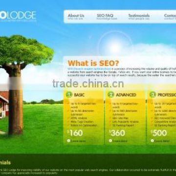 Cheap & SEO frendly Website Design & Development for Online Sale