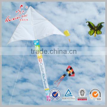 kite manufacturer in weifang promotional delta kite,diy painting kite
