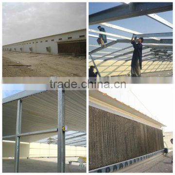 High quality chicken poultry house building in Pakistan