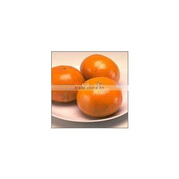New Year 2017 Special Offer - Kinnow Citrus / Mandarin / Navel Valencia Orange / Tangerines