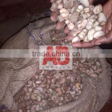 Raw cashew nuts / Standard grade / Benin origin