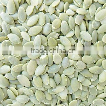 Xinjiang bulk pumpkin shine skin kernels