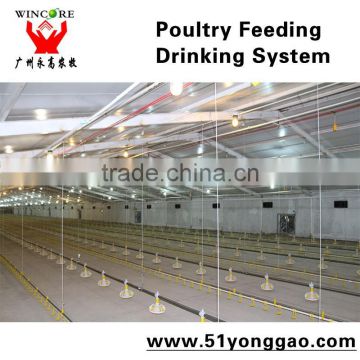 High quality Poultry Farming equipment for Chicken Feeding Drinking System in Broiler Farm