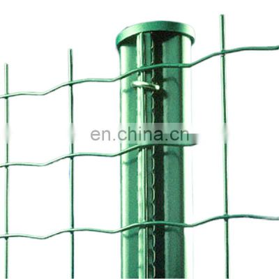 PVC Coated Holland Wire Mesh Welded Euro Fence