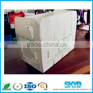 breathability pp corrugated plastic storage box for Mung bean/green bean