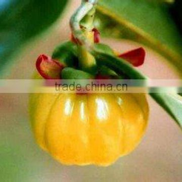Lossing weight product Garcinia cambogia extract/Brindle berry/HCA