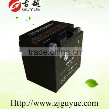 12v yuasa maintenance free lead acid battery