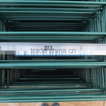 Hot sale Galvanized then PVC coated Welded Wire Mesh panel Fence