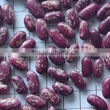 Chinese Purple speckled beans