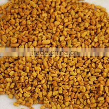 Fenugreek Seed