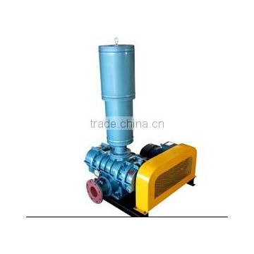 Roots rotary positive displacement (PD) blowers