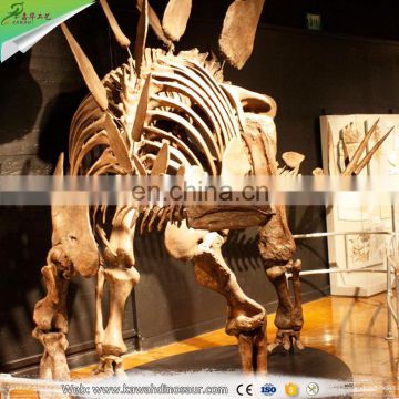 KAWAH Large Dinosaur Skeleton Fossil for Sale