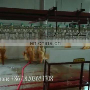 professional fully automatic halal processing chicken slaughter machine