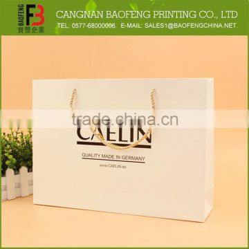 Reusable Recyclable Promotional Paper Shopping Bag