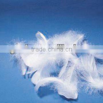 2-4CM Washed White Goose Feather