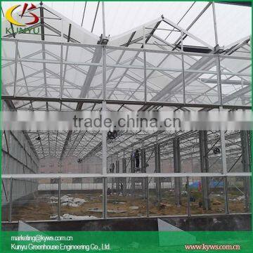 Venlo roof type small greenhouse plans glass greenhouse supplies