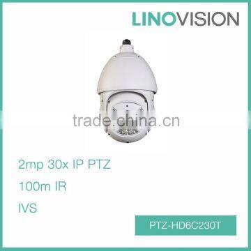 2Mp Full HD 30x Optical Zoom Network 100m IR PTZ IP Dome Camera