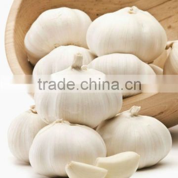 Jinxiang fresh garlic