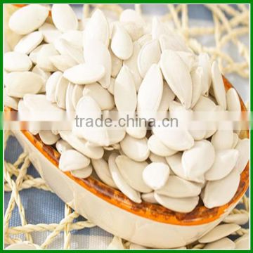 Sale Big Size Roasted and Salted Pumpkin Seeds with Best Quality