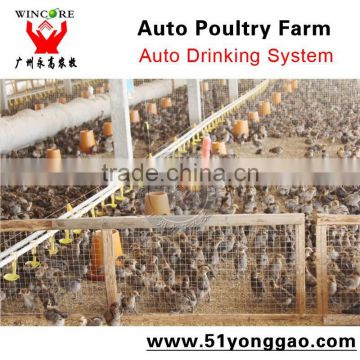 Poultry farming equipment breeds of broiler chickens equipment