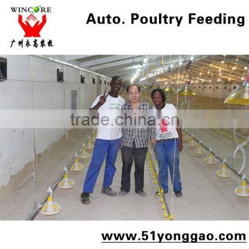 Broiler Chicken Auto. Feeding System Poultry Equipment Feeding