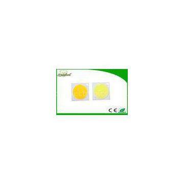 20w / 30watt / 40W COB Leds Epistar Chips RA80 With 20MM Luminous Surface