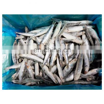 Hot sale single frozen sardine fish whole round