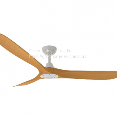 Variable frequency ceiling fan light
