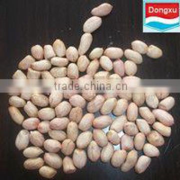 good quality peanut from china